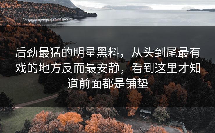 后劲最猛的明星黑料，从头到尾最有戏的地方反而最安静，看到这里才知道前面都是铺垫