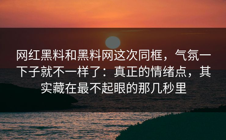 网红黑料和黑料网这次同框，气氛一下子就不一样了：真正的情绪点，其实藏在最不起眼的那几秒里