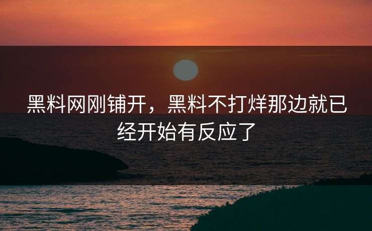 黑料网刚铺开，黑料不打烊那边就已经开始有反应了