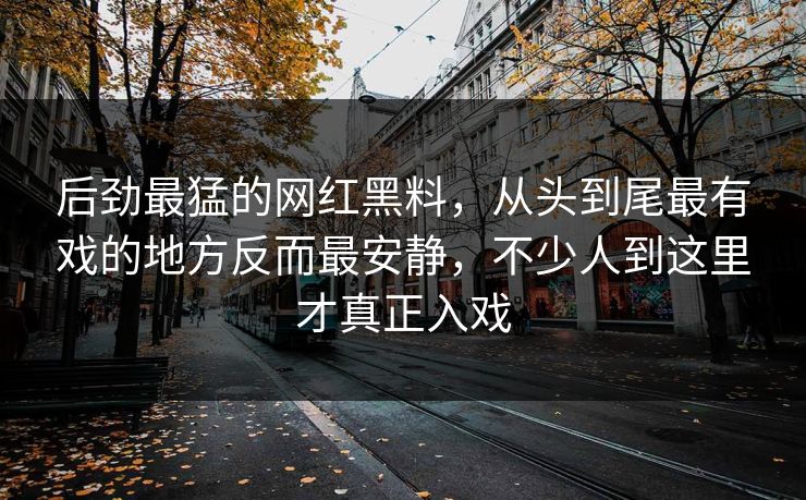后劲最猛的网红黑料，从头到尾最有戏的地方反而最安静，不少人到这里才真正入戏