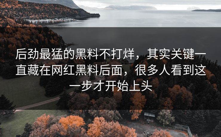 后劲最猛的黑料不打烊，其实关键一直藏在网红黑料后面，很多人看到这一步才开始上头
