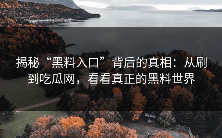 揭秘“黑料入口”背后的真相：从刷到吃瓜网，看看真正的黑料世界
