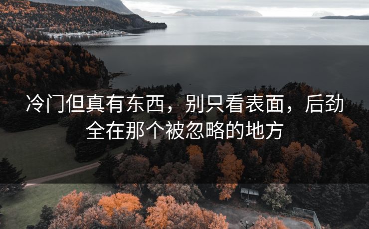 冷门但真有东西，别只看表面，后劲全在那个被忽略的地方