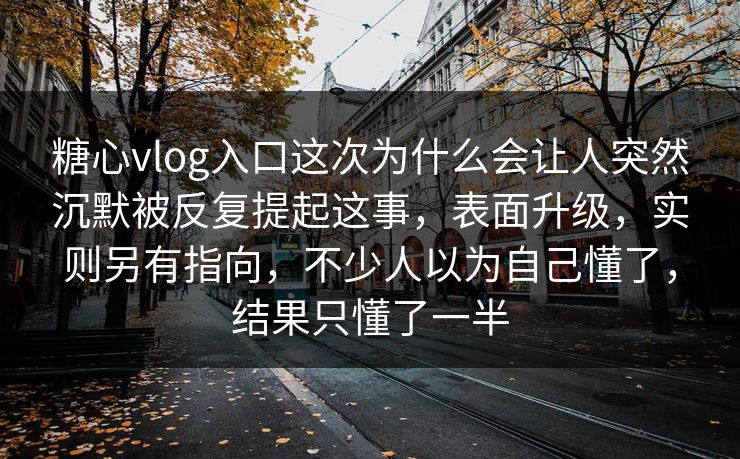 糖心vlog入口这次为什么会让人突然沉默被反复提起这事，表面升级，实则另有指向，不少人以为自己懂了，结果只懂了一半