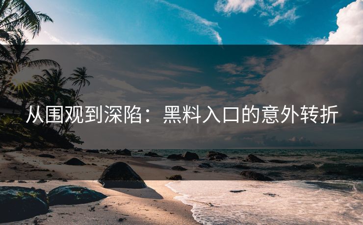 从围观到深陷：黑料入口的意外转折